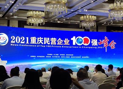 pg电子药包荣登重庆民营企业科技立异指数100强榜单