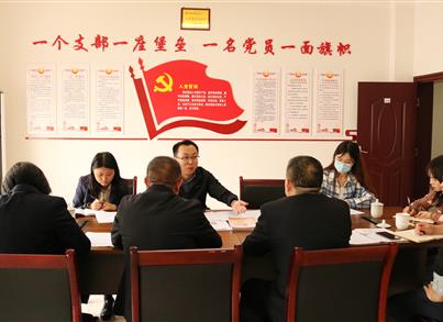 吴志强书记到pg电子药包指导党建事情