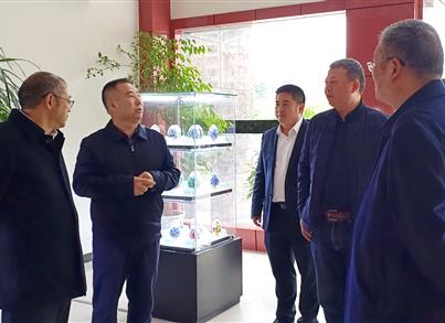 优化营商情形|涪陵法院党组书记、院长孙养统一行走访pg电子药包调研活动