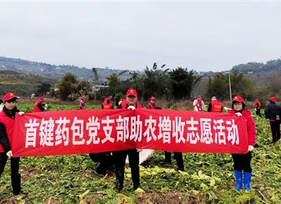 助农收砍青菜头 pg电子药包党支部用行动温暖莳植大户的心