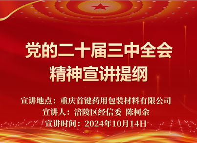 pg电子党支部组织开展党的二十届三中全会精神主题党日学习活动